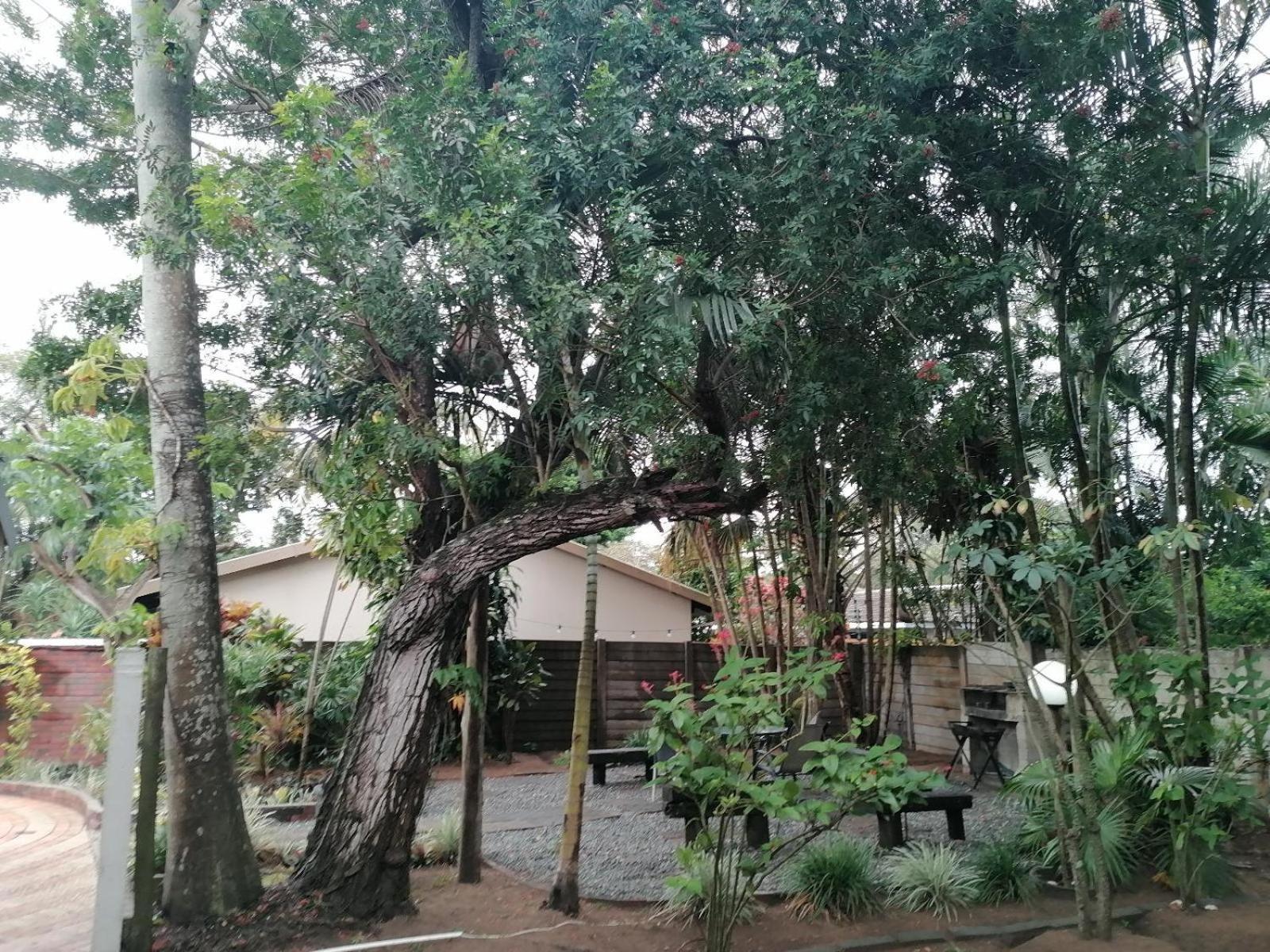 Nqabanqaba Bed and Breakfast Richards Bay Εξωτερικό φωτογραφία